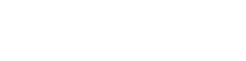 mediaagencydenmark.com